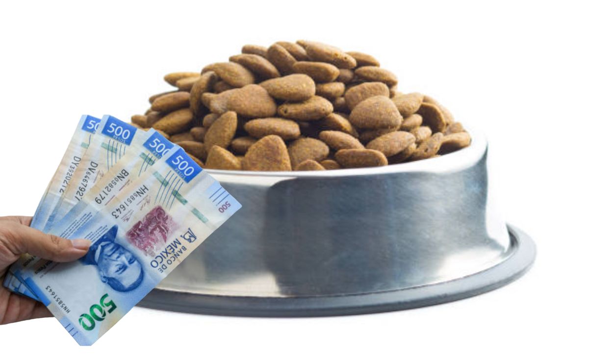 En la Cámara de Diputados se propuso eliminar el cobro del Impuesto al Valor Agregado (IVA) en los alimentos para animales domésticos.