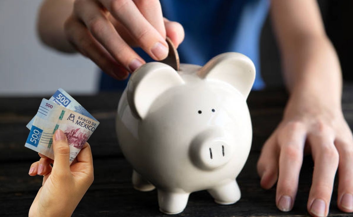 Es importante que conozcas los porcentajes de comisión que cobrarán las Afofes en 2025.