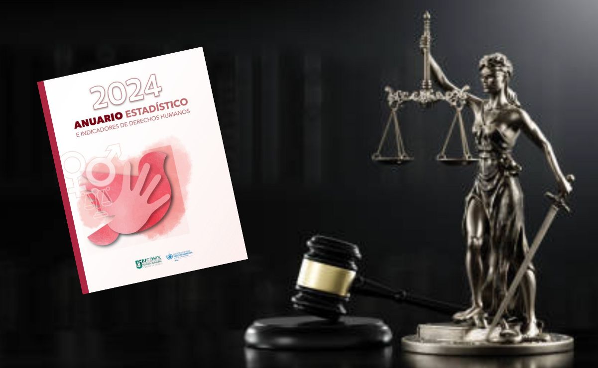 El objetivo de este documento es proporcionar una visión completa y transparente sobre el acceso a la justicia.