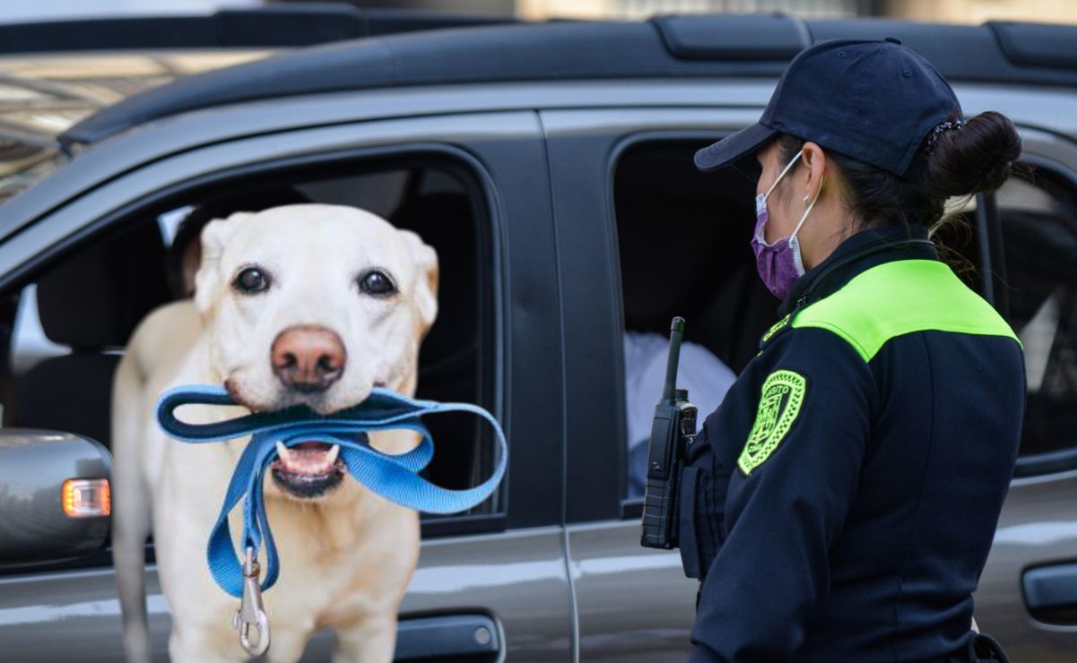 Aquí te damos los detalles sobre la nueva modalidad en las multas de tránsito en la CDMX.