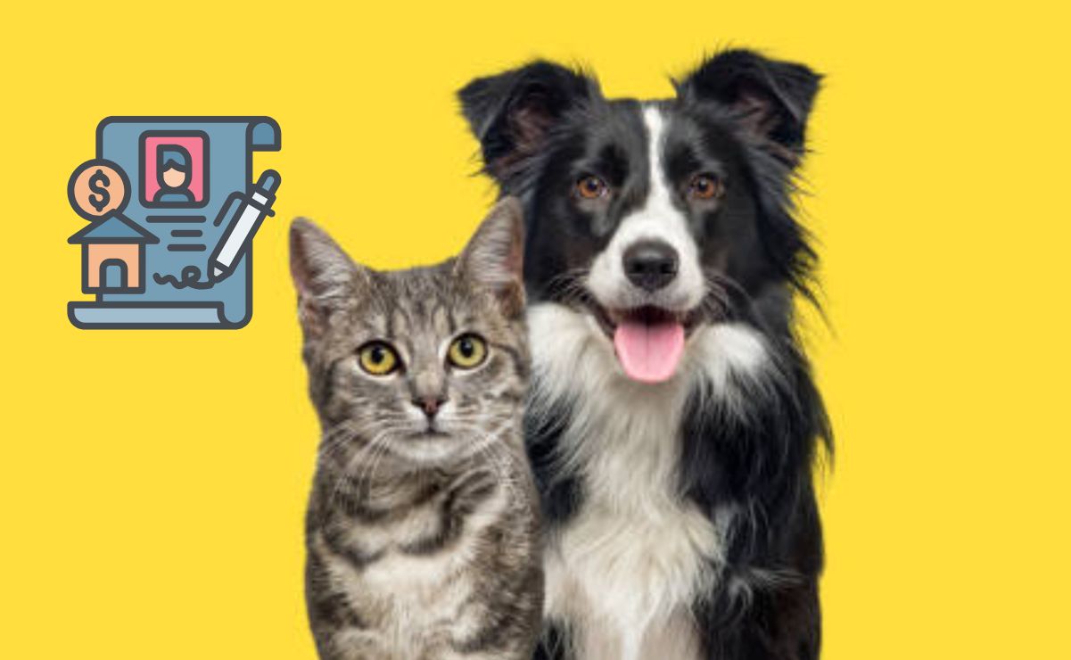 Aquí te damos los detalles sobre el tema de herencia en mascotas.