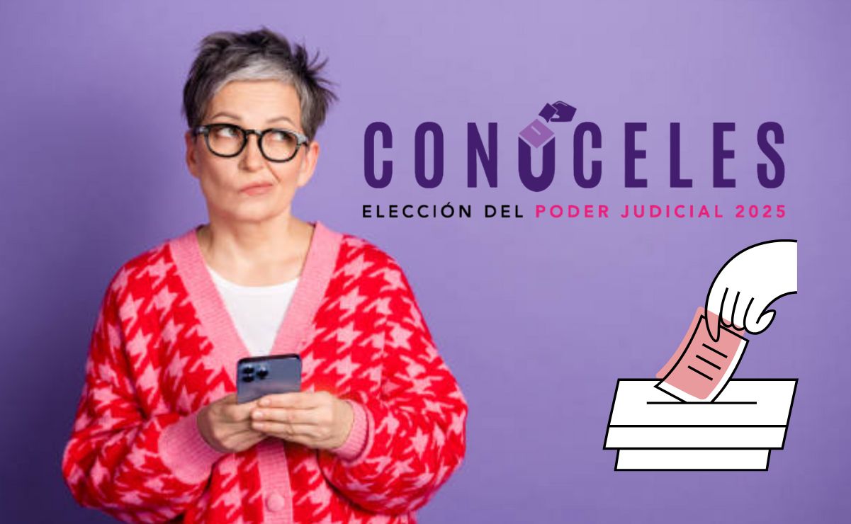 Aquí te damos los detalles sobre el innovador sistema ‘Conóceles’ del INE.