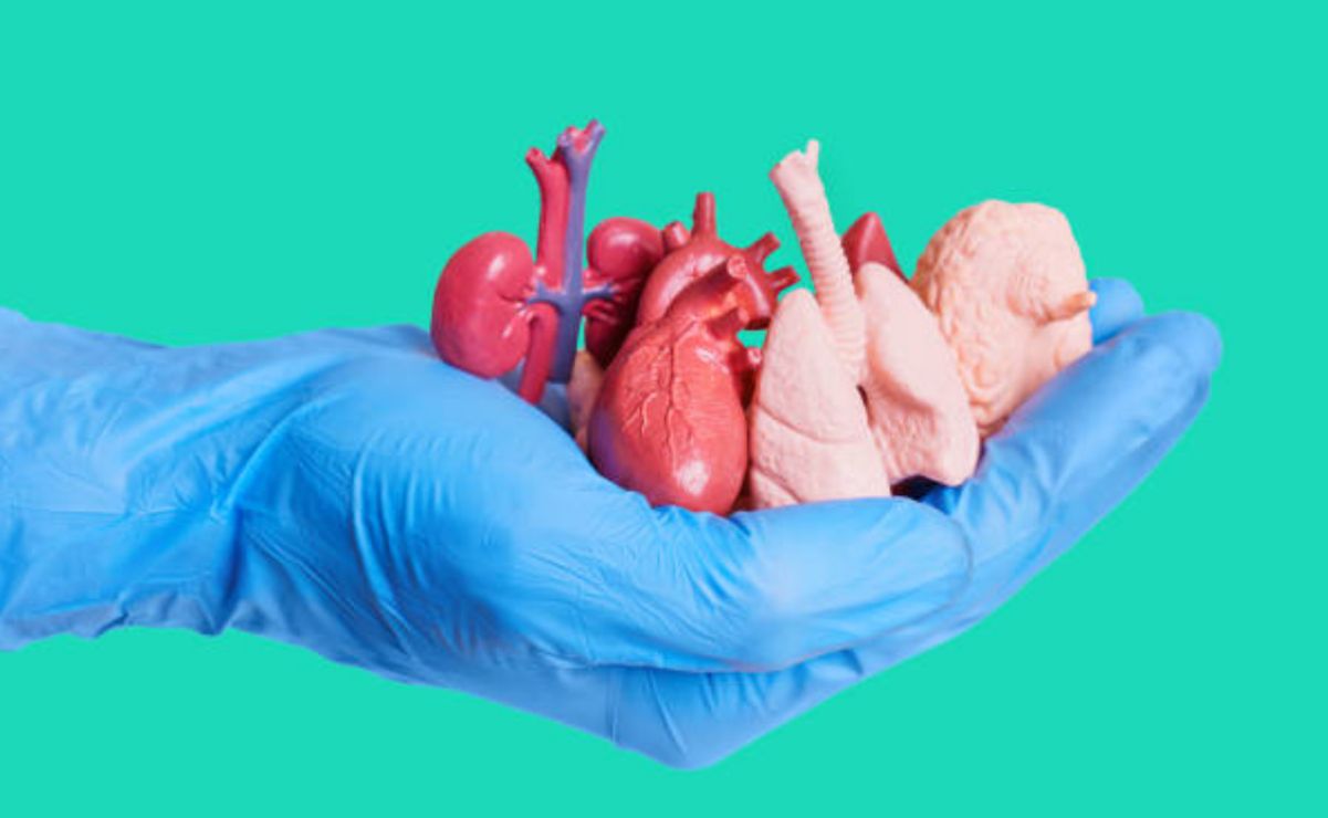 La donación de órganos es un acto muy generoso que permite salvar miles de vidas.