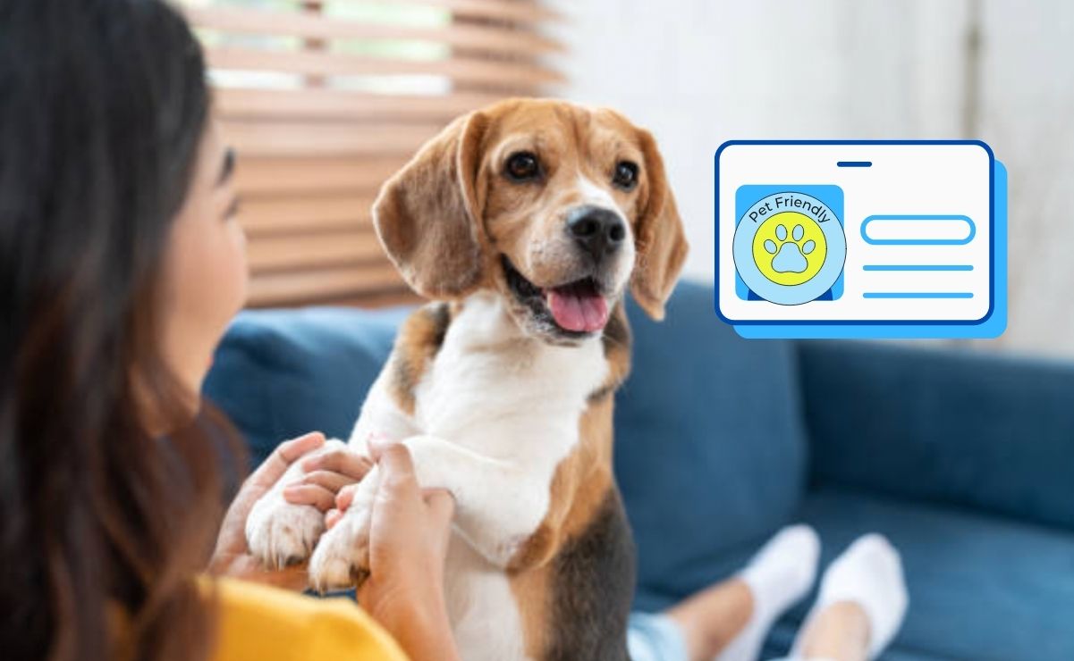 La Agencia de Atención Animal (Agatan), dependencia del Gobierno capitalino, ha confirmado que el RUAC tiene como propósito fortalecer el bienestar animal.