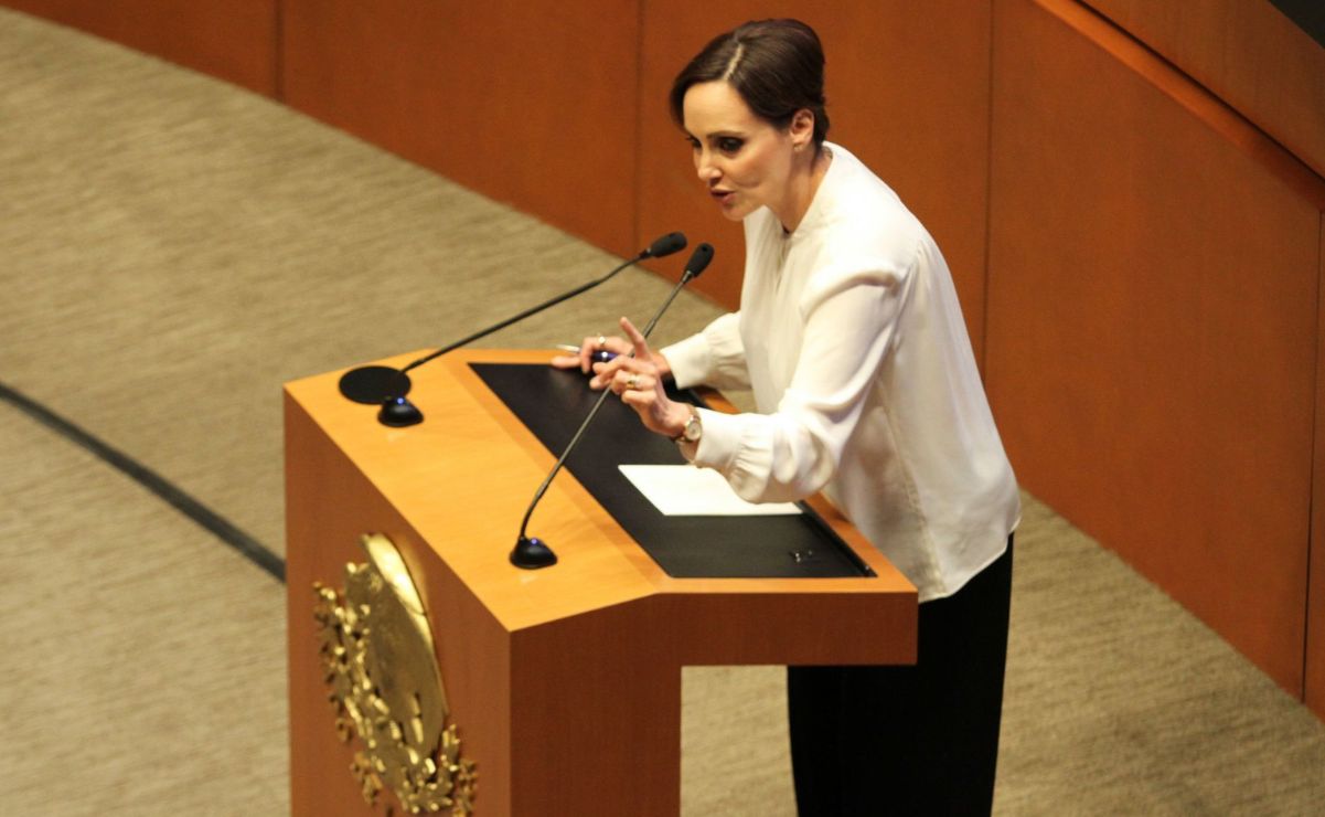 Lilly Téllez hizo responsables a las senadoras que participaron en la protesta que derivó en empujones, gritos y tensión dentro del recinto legislativo.