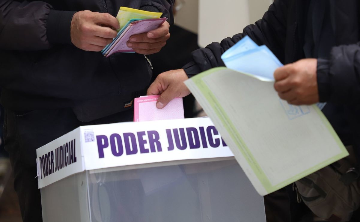 La OEA busca “contribuir al fortalecimiento institucional y a la confianza ciudadana en los procesos democráticos”.