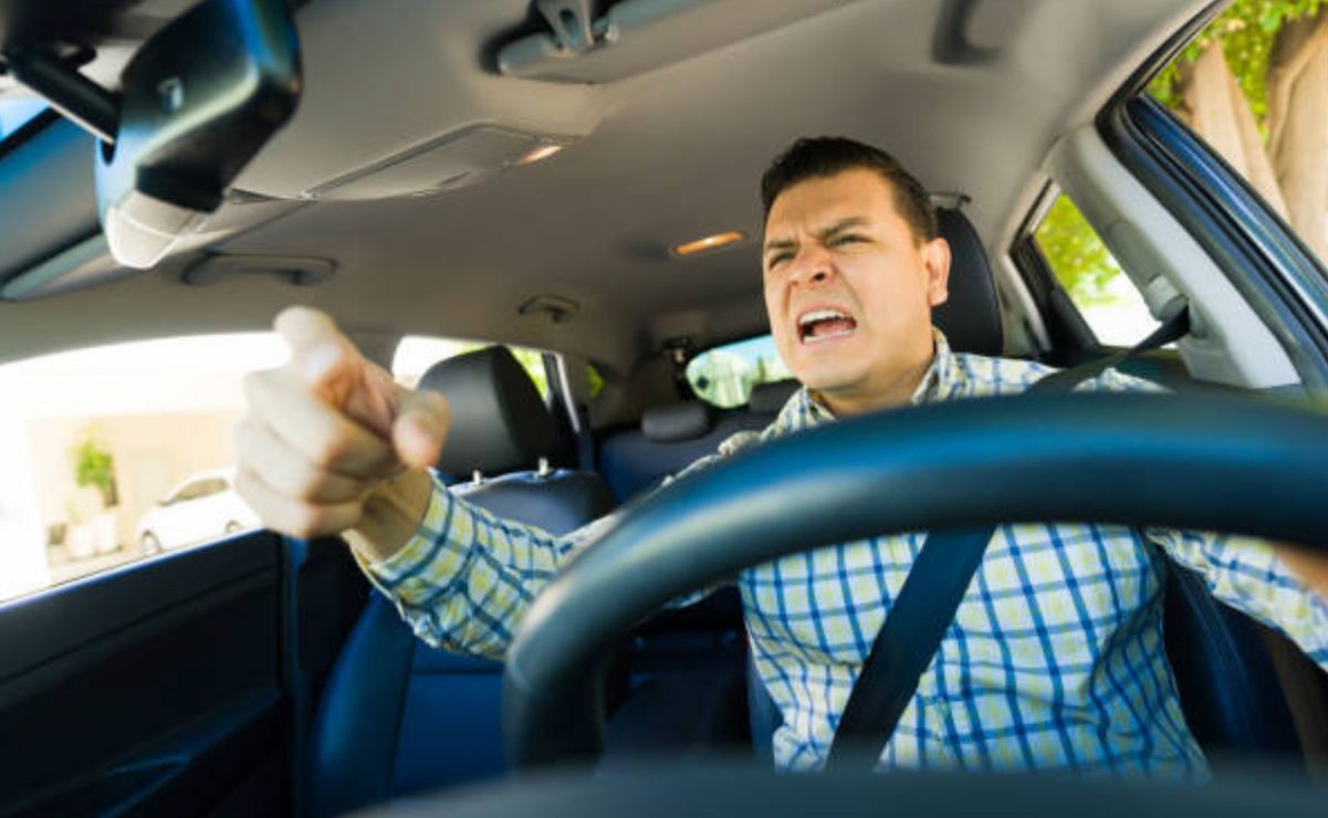 La iniciativa fue presentada por la diputada Melisa Peña, del partido Movimiento Ciudadano.