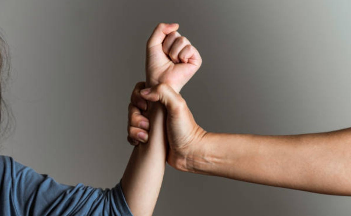 La diputada respaldó su propuesta con datos que evidencian la magnitud del problema.