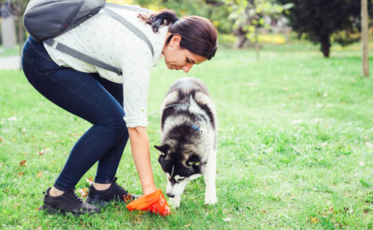 Si una autoridad detecta incumpliendo esta norma, la persona podría ser remitida ante un Juez Cívico.