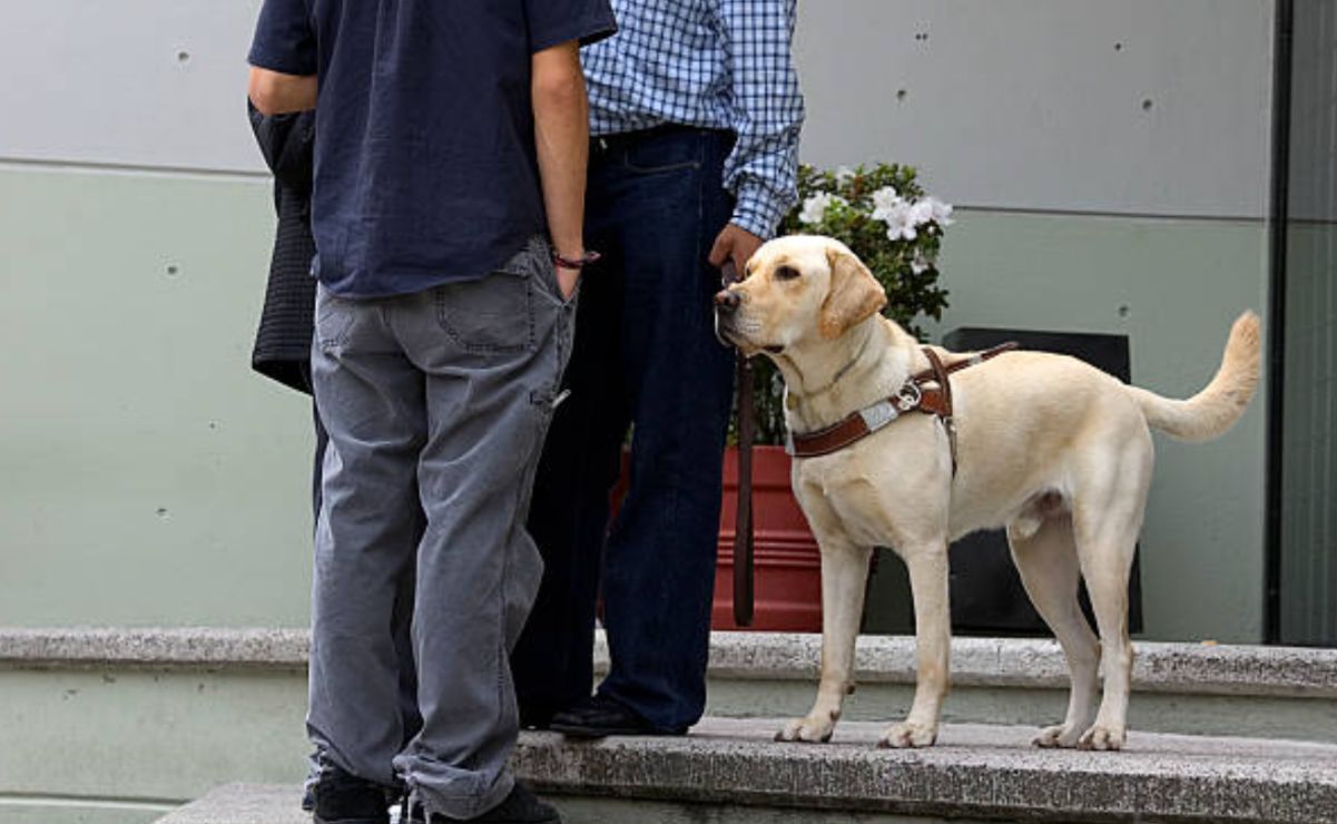 La medida establece que impedir este acceso será considerado un acto de discriminación.