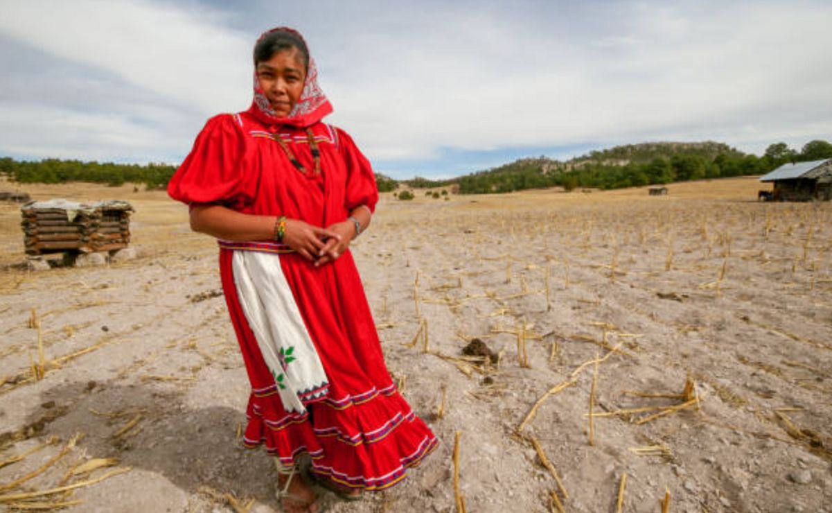 Los pueblos y comunidades indígenas gozan de un reconocimiento constitucional que garantiza su derecho.