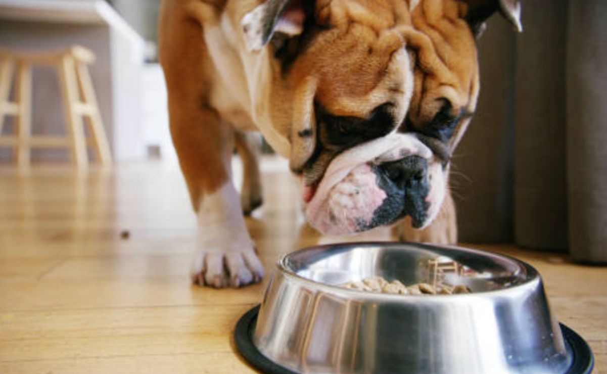 La propuesta ha generado simpatía ciudadana y amplia difusión en redes sociales.