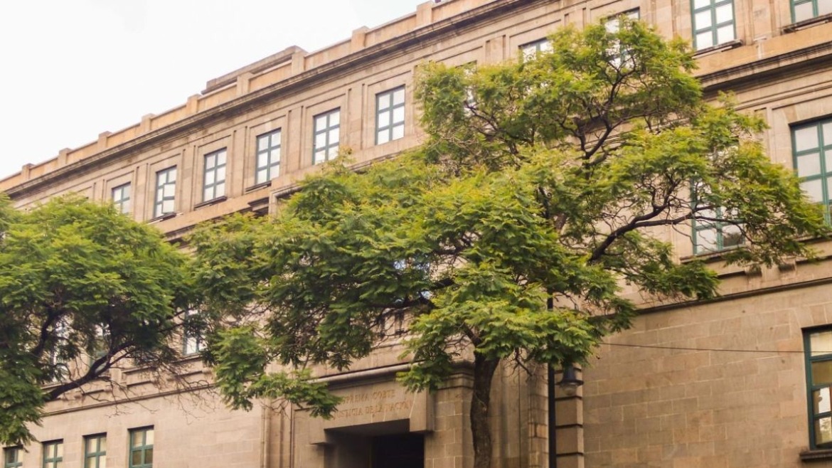 Los temas abarcan desde derechos familiares y maternidad subrogada hasta propiedad de terrenos.