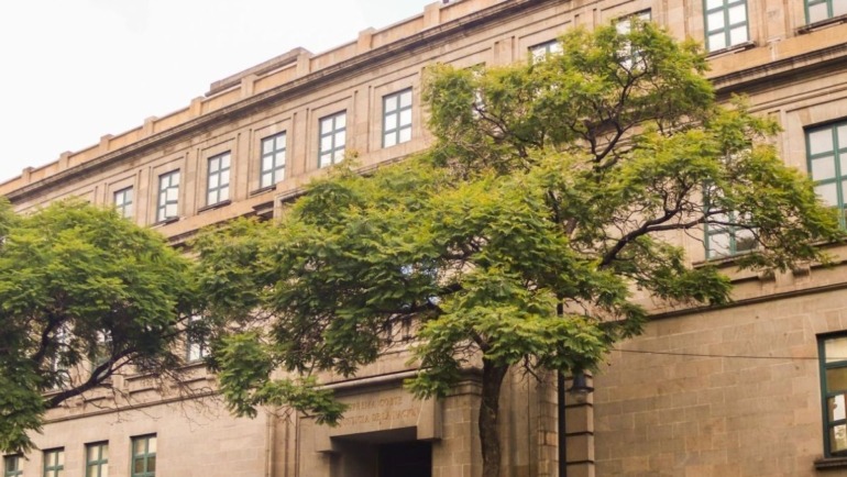 Los temas abarcan desde derechos familiares y maternidad subrogada hasta propiedad de terrenos.