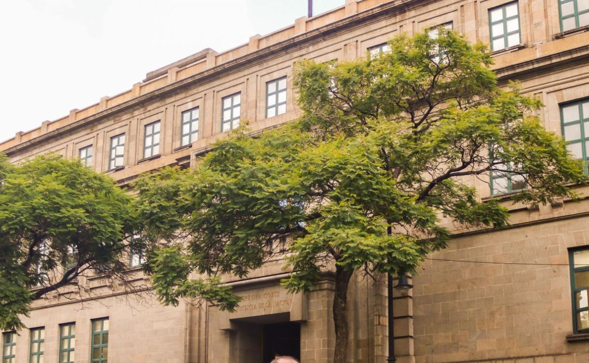 Los temas abarcan desde derechos familiares y maternidad subrogada hasta propiedad de terrenos.