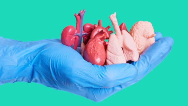 El propósito es formar desde las aulas una cultura de empatía y solidaridad.