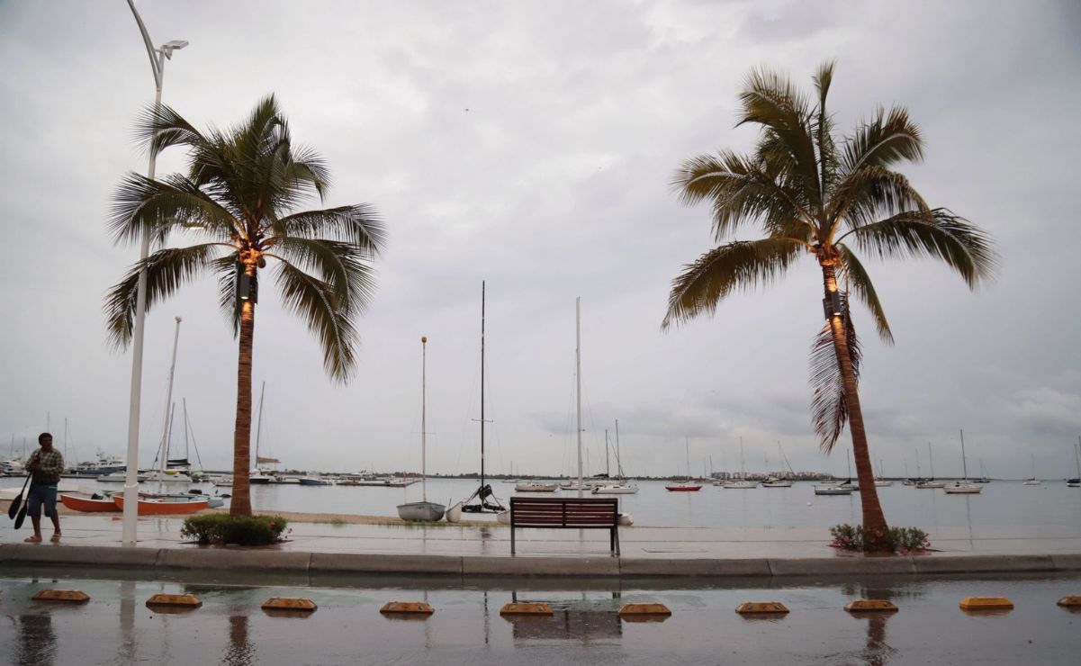 El paso del huracán Priscilla no solo pone a prueba la resistencia de techos y caminos.