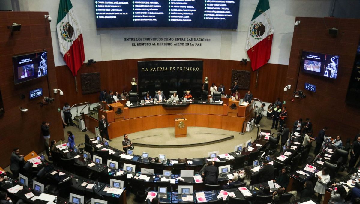 La iniciativa surge tras diversos videos difundidos en redes sociales donde legisladores aparecen distraídos.