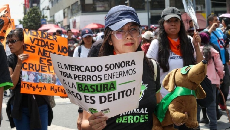 Los locatarios dedicados a la venta de animales —alrededor de 80 puestos— deberán cambiar de giro o reconvertir su actividad antes de que concluya el año 2025.