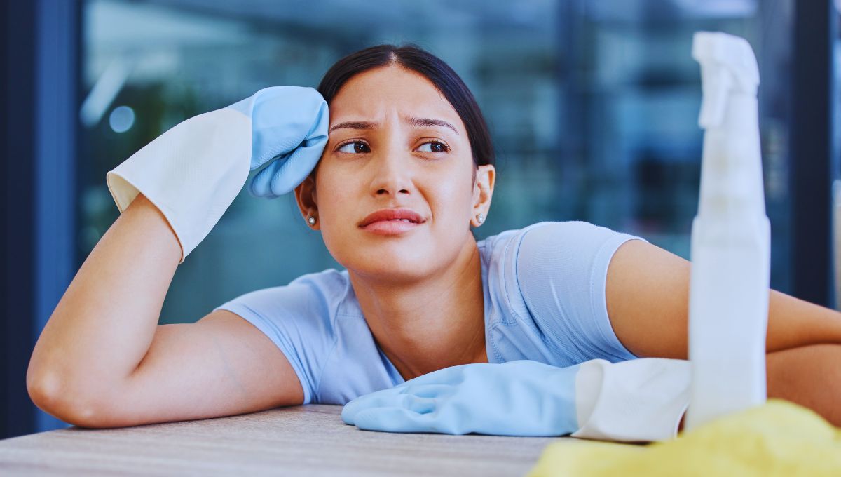 trabajadoras del hogar trabajadoras del hogar