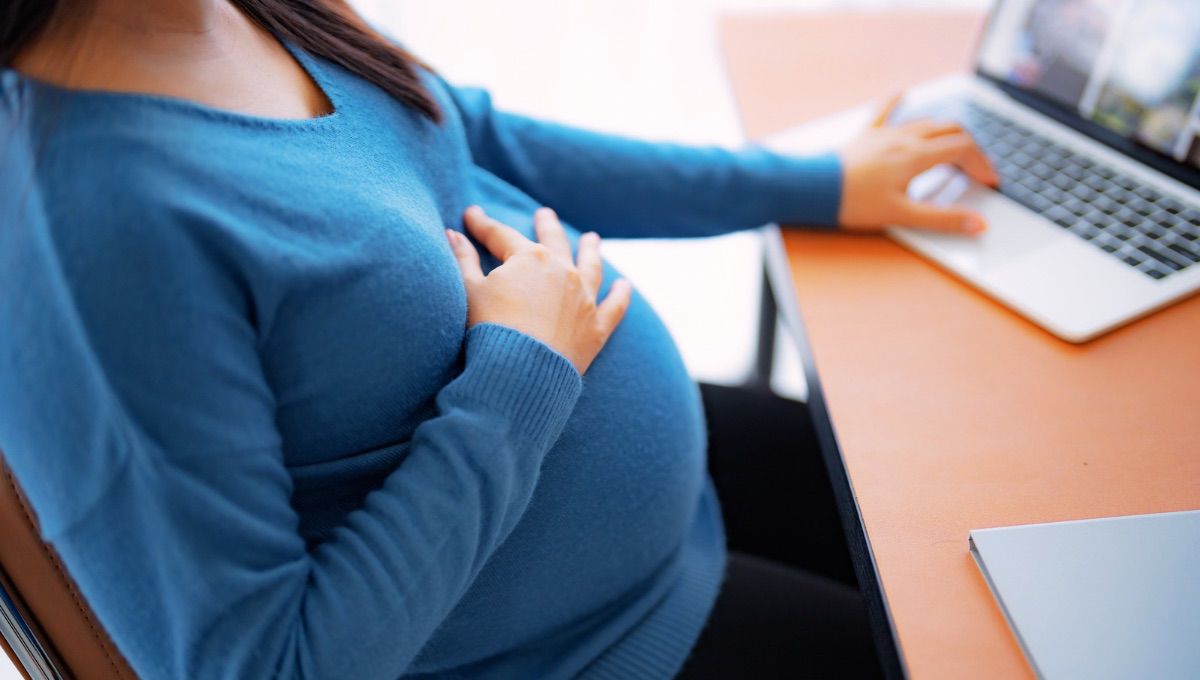 IMG-20260330-WA0008 IMG-20260330-WA0008