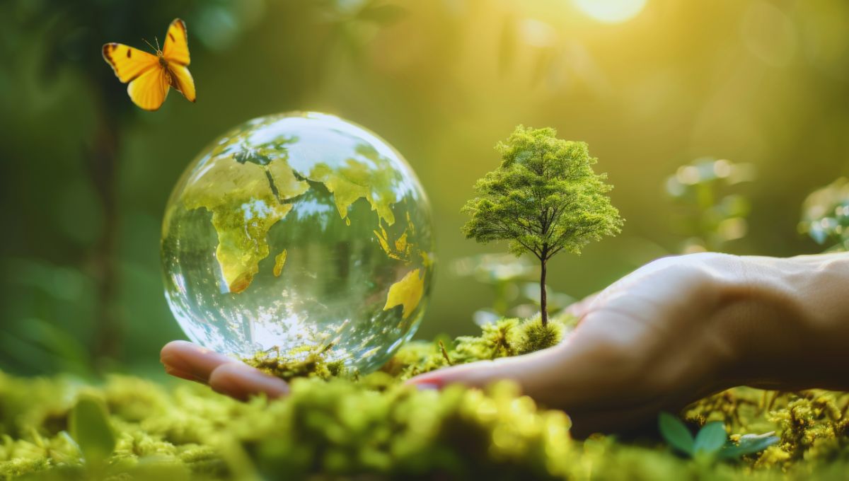 ley ambiental ley ambiental