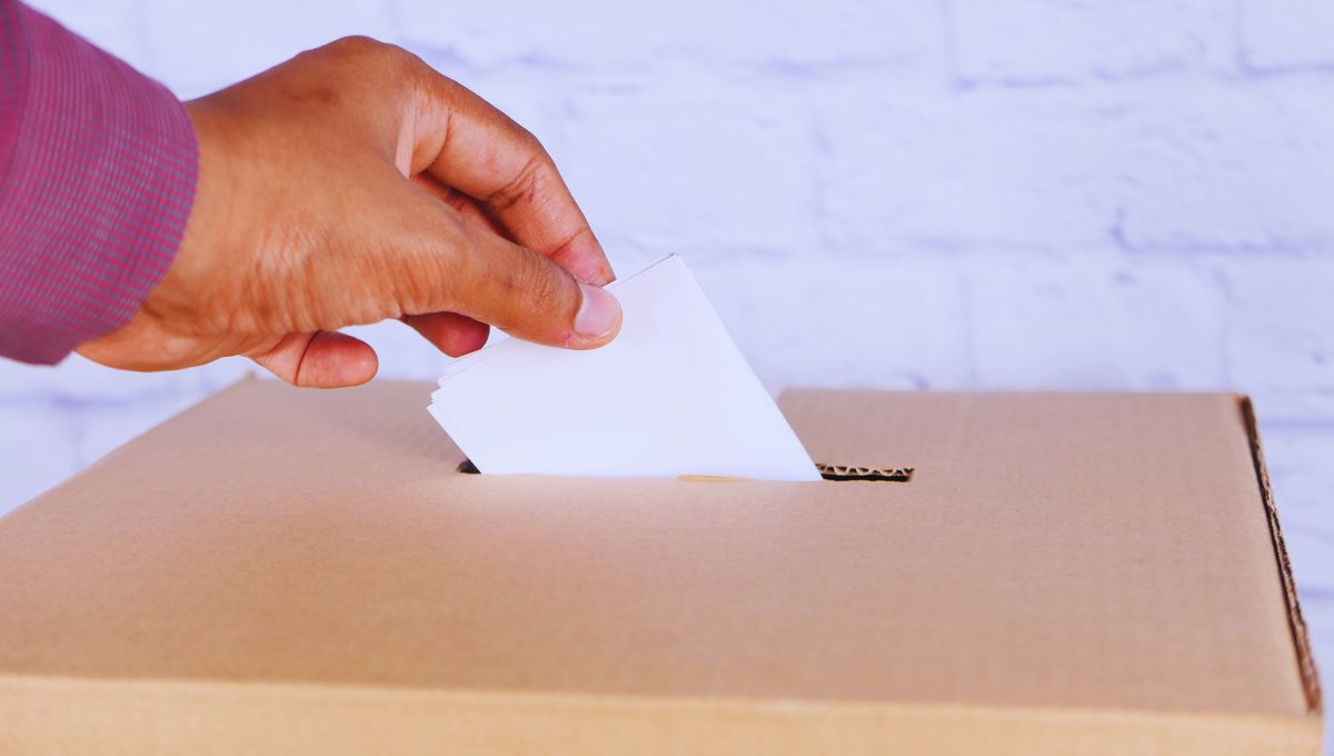 elecciones