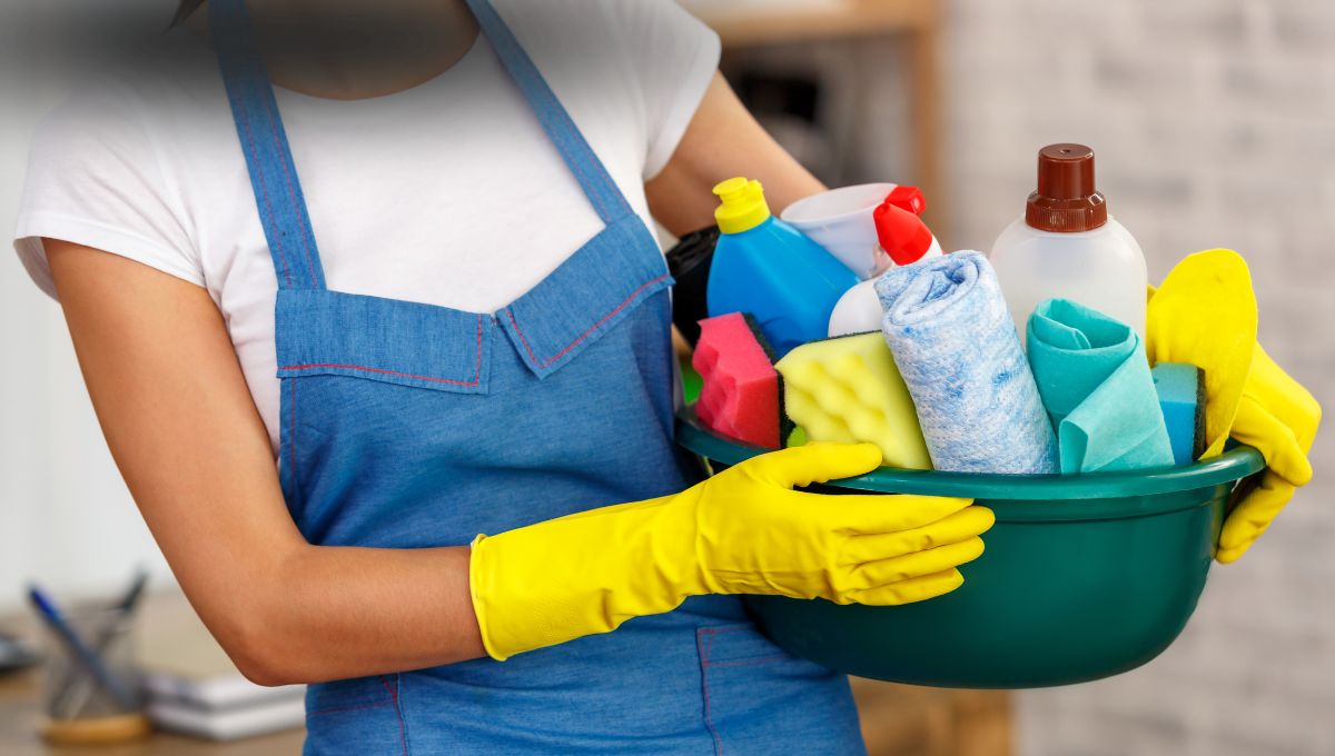 trabajadora del hogar trabajadora del hogar