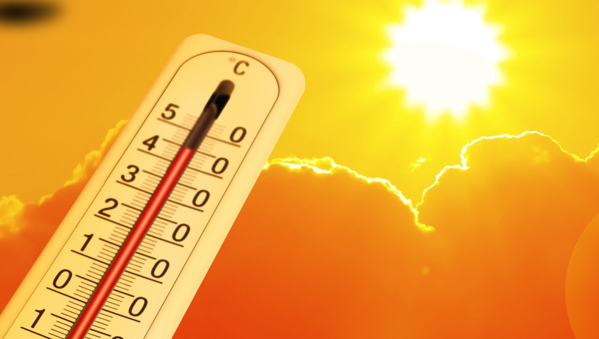 ¿Protección para los mexicanos a las olas de calor? Esto dice la iniciativa